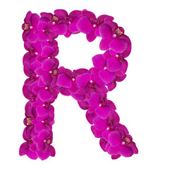 Letters made of pink flowers. R letter - flower alphabet