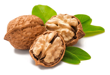 cracking walnuts with fresh leaves on white