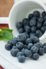 Fresh blueberry.