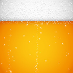 Vector beer background