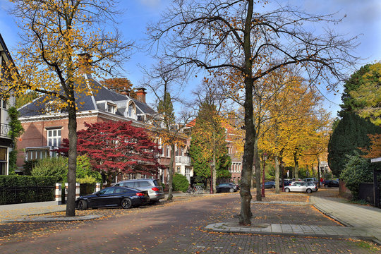 Street Koningslaan in the center of Amsterdam near the Vondelpark. The Netherlands.
