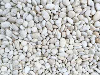 stone background , cement,texture