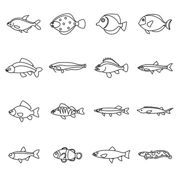 Cute fish icons set in outline style. Sea set collection isolated vector illustration