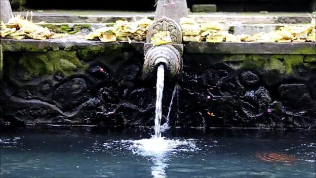 Holy Spring Water Tirta Empul Hindu Temple , Bali Indonesia