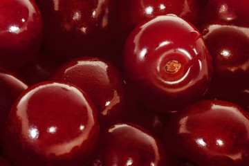 Sour cherries. Close-up view.