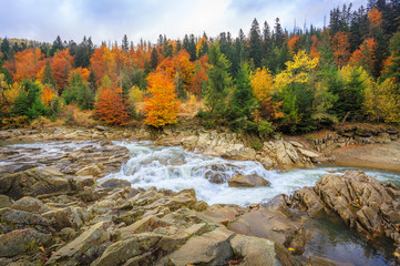  beautiful fast mountain river in autumn forest