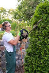 Hecke schneiden mit elektrischer Heckenschere