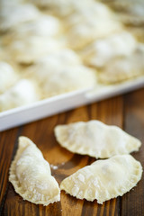 raw dumplings with filling