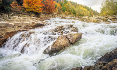  beautiful fast mountain river in autumn forest