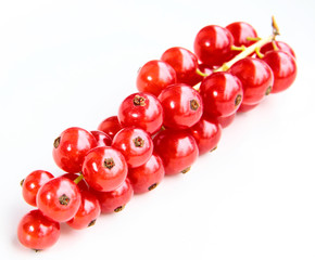 closeup of a bunch of delicate and fresh redcurrants