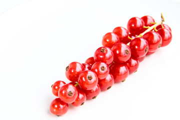 closeup of a bunch of delicate and fresh redcurrants