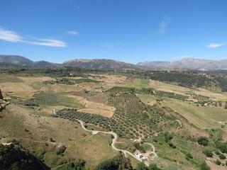 Fototapeta na wymiar Espagne - Andalousie - Ronda - Vue sur les collines et la campagne