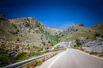 Crete island landscape, Greece. Road with plants of oleanders and flowers on the both sides