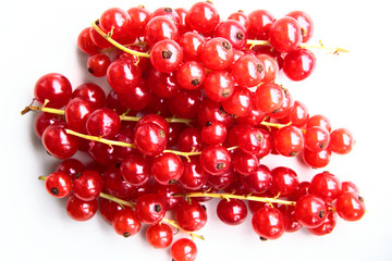 closeup of a bunch of delicate and fresh redcurrants