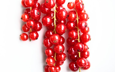 closeup of a bunch of delicate and fresh redcurrants