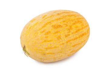 Melon