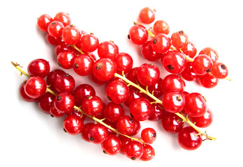 closeup of a bunch of delicate and fresh redcurrants