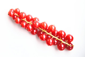 closeup of a bunch of delicate and fresh redcurrants