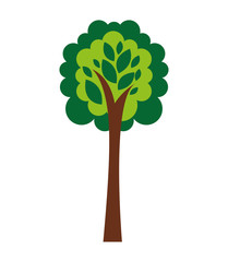 tree plant eco icon