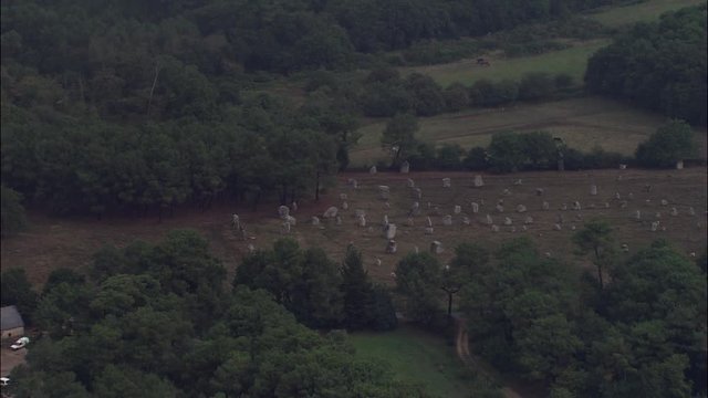 Carnac Prehistory Stones, Surrounded, Woods