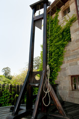 French Guillotine