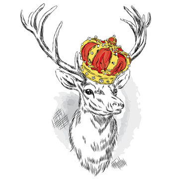 Beautiful deer in the crown. Vector illustration for a card or poster. Print on clothes. Hipster.