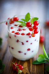 sweet homemade yogurt with red currants