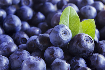 Close up photo of blueberries