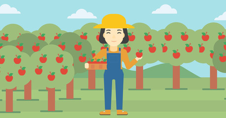 Obraz na płótnie Canvas Farmer collecting apples vector illustration.