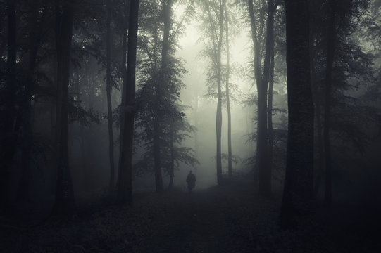 dark forest with man silhouette