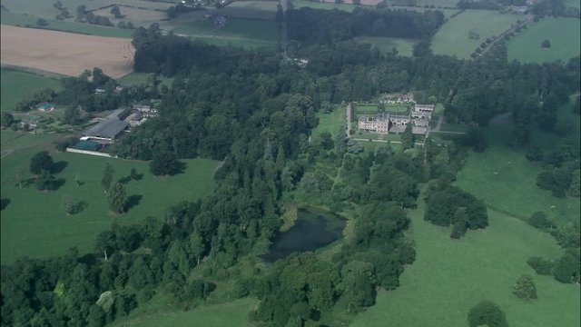 Hutton, The Forest