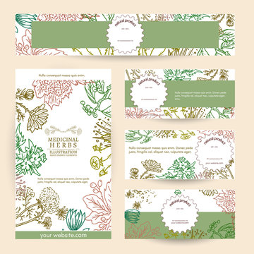 Herbal medicine cosmetics based on natural herbs template vector