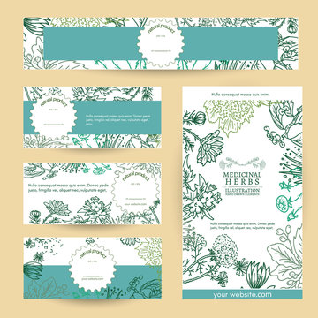 Herbal medicine cosmetics based on natural herbs template vector