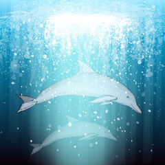 Two beautiful dolphin swim underwater vector