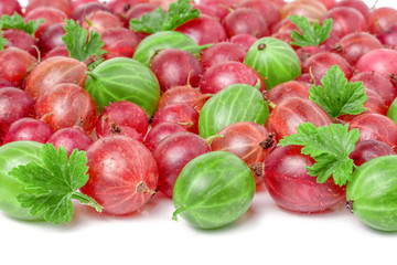 red and green gooseberries with leaves isolated on white background