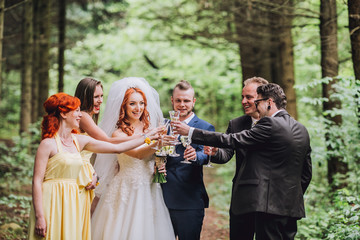Wedding guests clinking glasses with the newlyweds at the park. Newlyweds with bridesmaids and groomsmen having fun. Toast. Champagne glass.