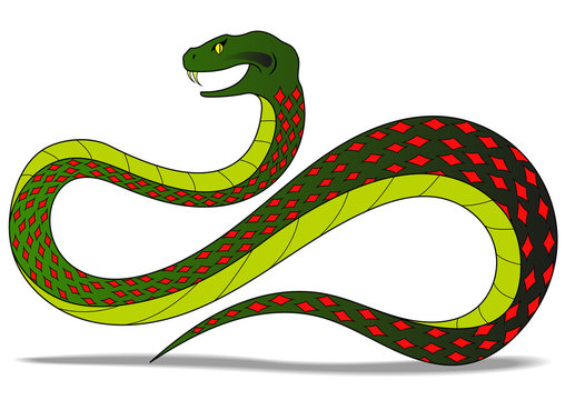 colred snake