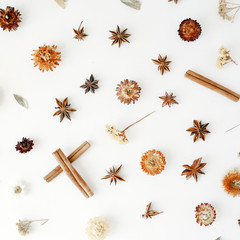 dry flowers, cinnamon and cardamom pattern on white background. flat lay, top view