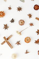 dry flowers, cinnamon and cardamom pattern on white background. flat lay, top view