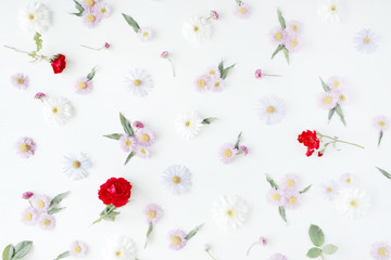 Roses, chamomiles and green leaves on white background. Flat lay, top view