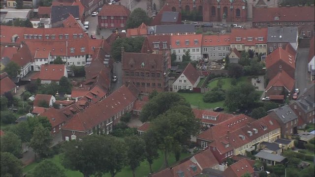 Ribe