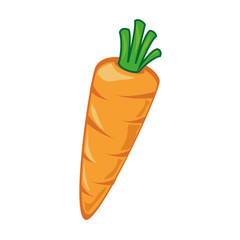 Delicious and fresh carrot vegetable, isolated flat icon design vector illustration.