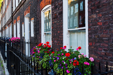 Fototapeta na wymiar old row houses in Westminster, London