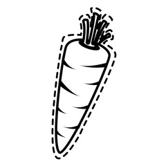 Delicious and fresh carrot vegetable, isolated flat icon design vector illustration.