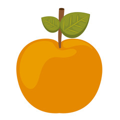 apple fresh isolated icon design, vector illustration  graphic 