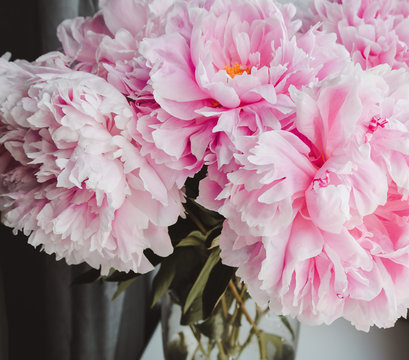Beauty bunch of pink peonies peony flowers in vase background. Spring or summer lovely bouquet. Bloom love concept. Card, text place, copy space. Wallpaper
