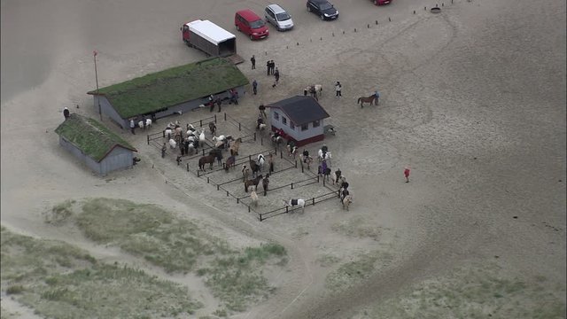 Horse Riding On Romo