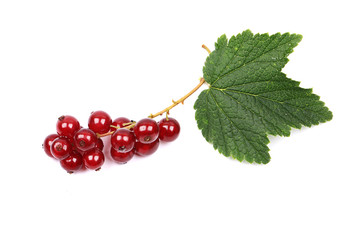 ripe red currant with leaves isolated on a white background