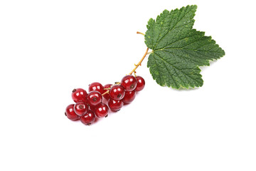 ripe red currant with leaves isolated on a white background