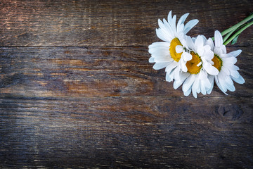 chamomile flowers on wooden table background